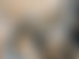 CTRL Steam Trap Inspection