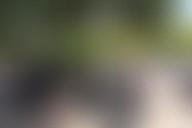 El paisatge de Sueca, un atractiu per a la xicoteta i la gran pantalla