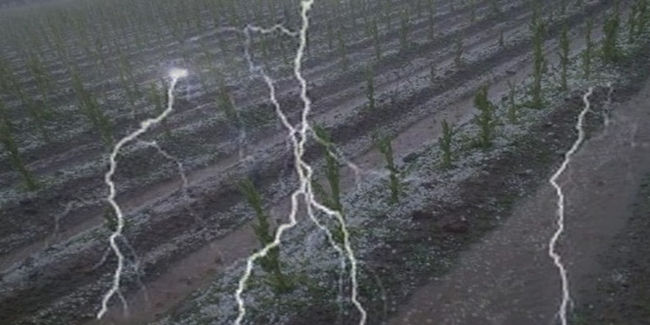 Nuevas tormentas de granizo causan daños en 1.300 hectáreas de cultivo y provocan pérdidas de 4,5 mi