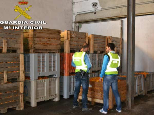 La Guàrdia Civil de Sueca participa en la detenció de sis persones per sustracció de taronges