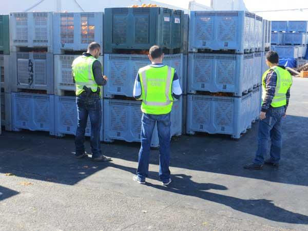 La Guàrdia Civil de Sueca procedeix contra 153 persones relacionades amb delictes en el comerç de la