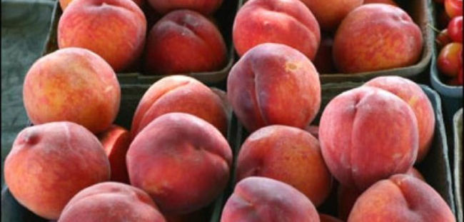El colapso que sufre el mercado de la fruta de hueso pone en jaque la rentabilidad de toda la campañ