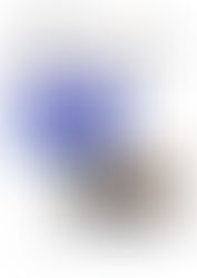 II Cicle de Conferències: Millorament humà (I): Mejoramiento humano: desde el Genoma a los Estados d