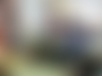 Sueca presenta tot un programa per commemorar el Dia de l'Arbre