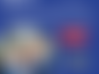 Invest in Your Future apply for your E2 Investor Visa Today