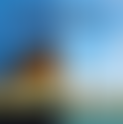 陕西同乡会2024云系列讲座第一讲圆满完成