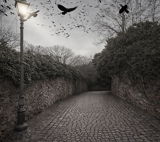 Background_Scott_Park_4096x3636 - Copy.png