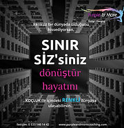 Yaşam Koçluğu, Koçluk, yasam kocu, yasam koclugu