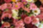 Fall Flower Bar 