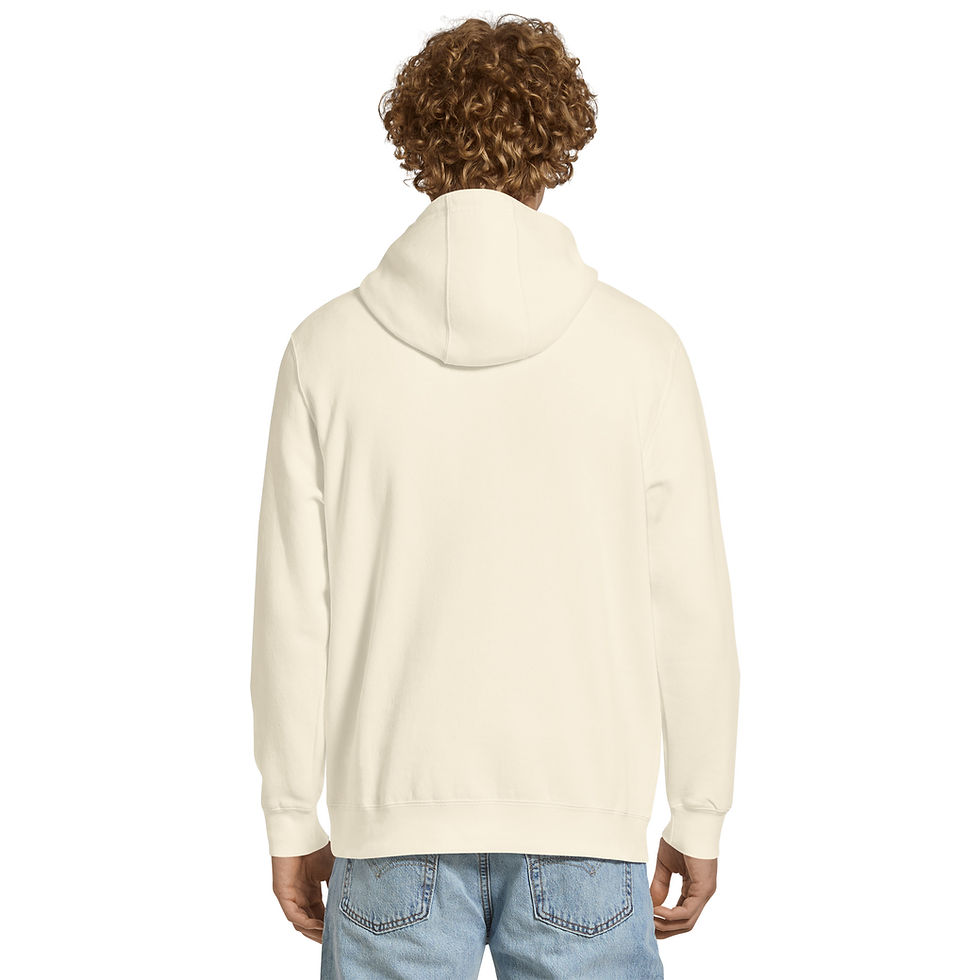 Thumbnail: Ambivert Official Seal Hoodie | Personality Type Apparel