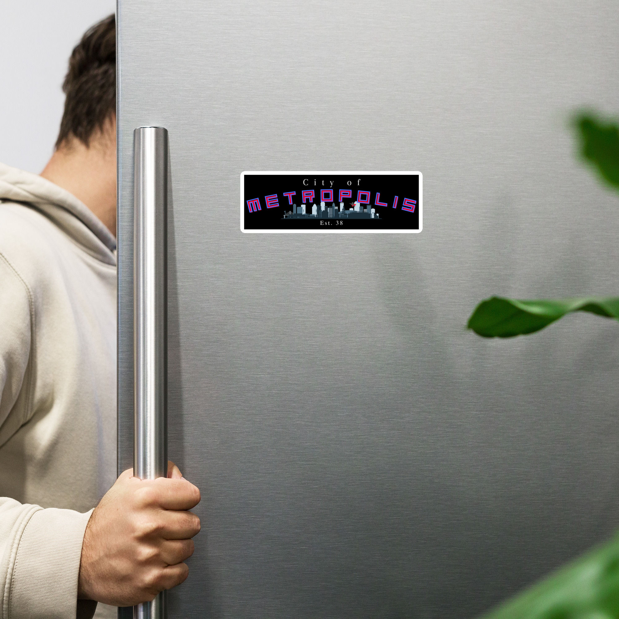 City of Metropolis tourism Magnet