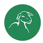 Brebis biochamps
