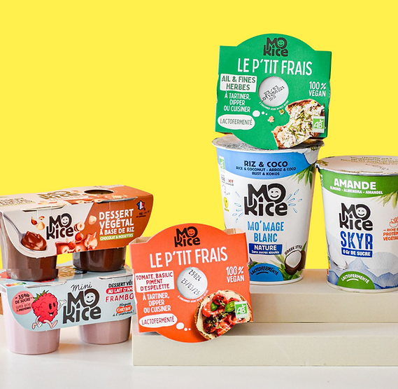 brouillon morice  (2).png