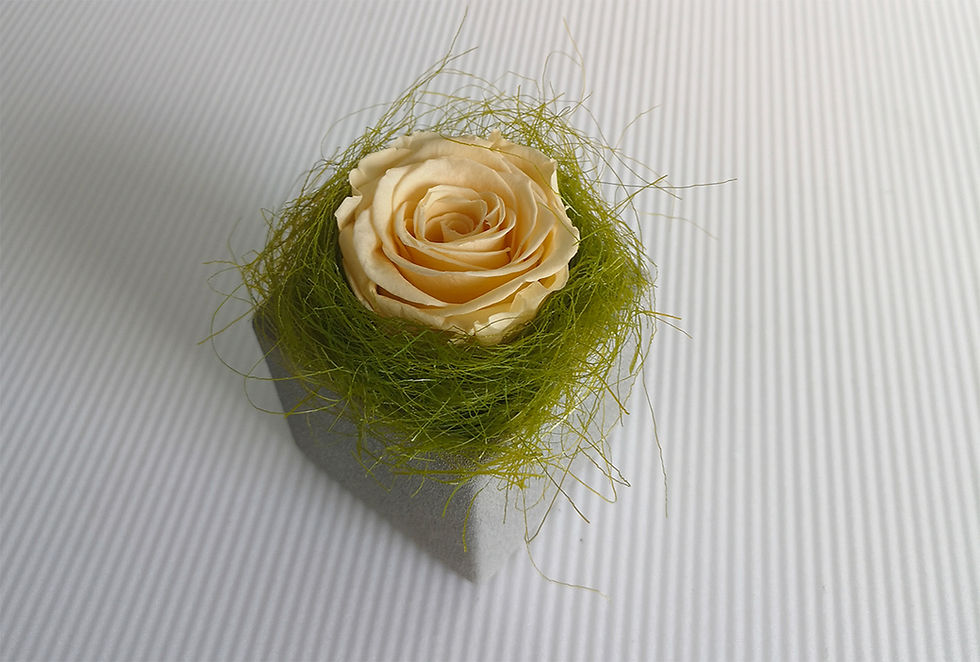 Miniatura: Minimalistická dekorace s velkou růží
