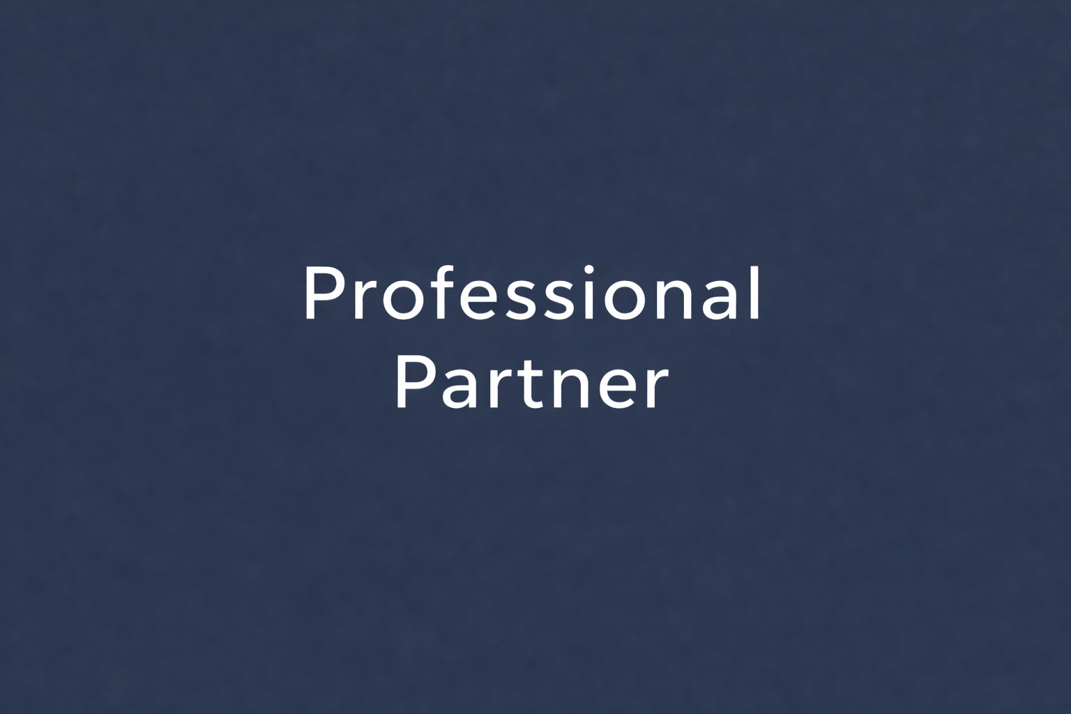 Professioneller Partner.png