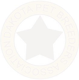 Logo 5 percent transparency.png