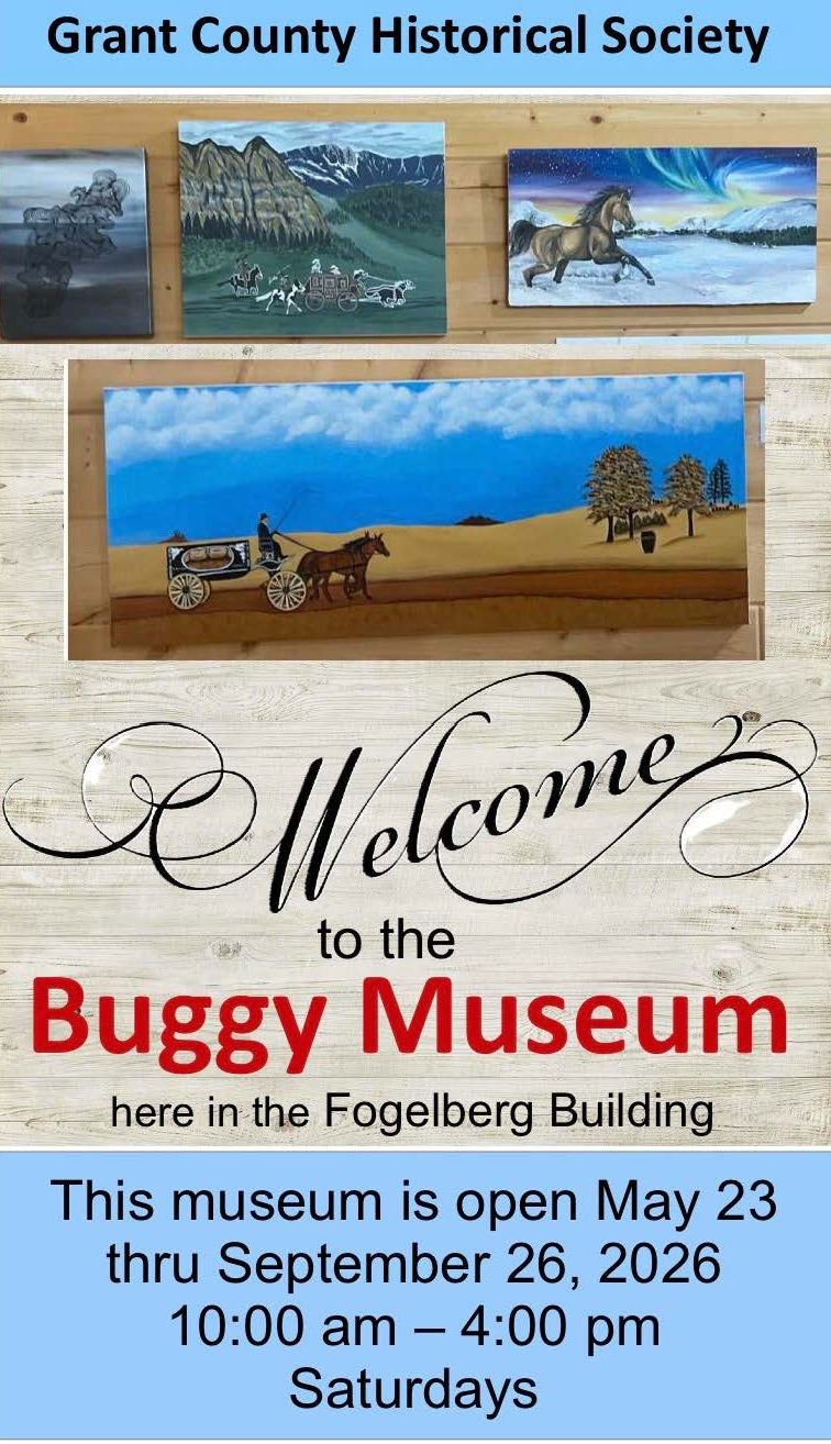 Buggy Museum