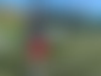 Proses Adaptasi Shabani di #GarudaSelect