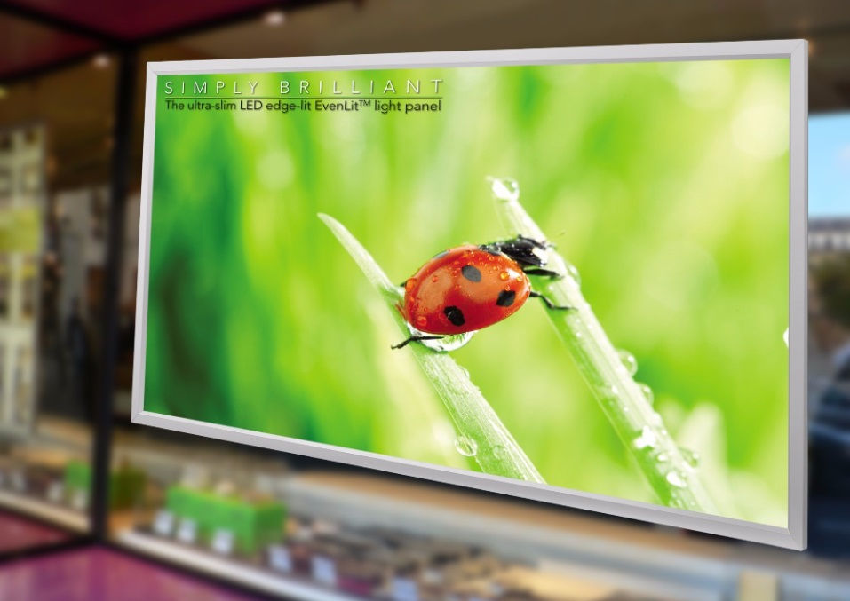 Miniature : PANNEAU LED EXTRA PLAT 59.4 x 84 cm