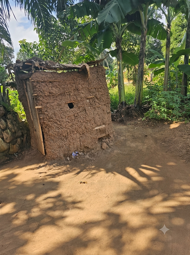 A temporary mud structure within the compound.