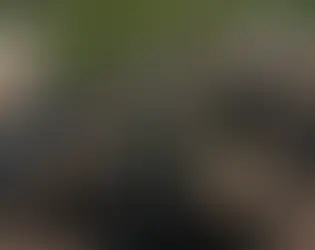 Military personnel traveling in a pickup truck in eastern DRC during ongoing conflict involving M23 rebels and the withdrawal of foreign forces from Rwanda and Uganda