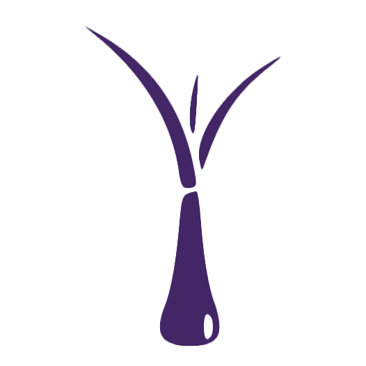 JITPOMI LLC logo