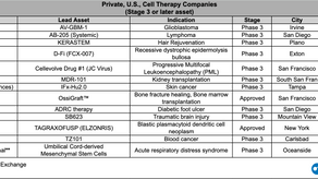 Lesser-known U.S. Cell Therapy Companies with Phase 3 or Approved Asset