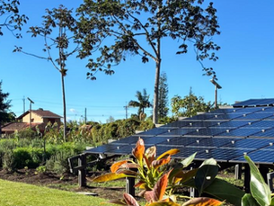 Agri-PV: The Light That Feeds the Earth Twice