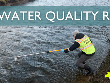 Monitoreamos la calidad del agua en 66 arroyos del condado de Kitsap para prevenir la contaminación y proteger la salud pública.