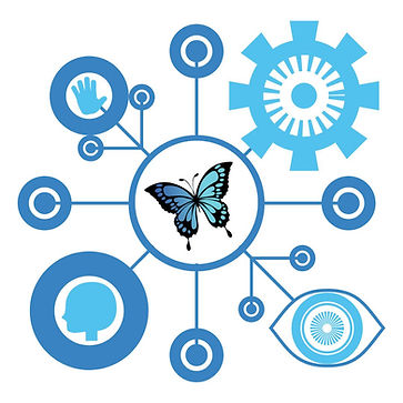 complex butterfly jpeg.jpg