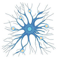 Untitled design (8).jpg