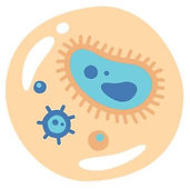 Untitled design (3) copy.jpg