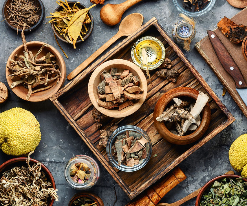 Photo of an array of traditional Chinese herbs.