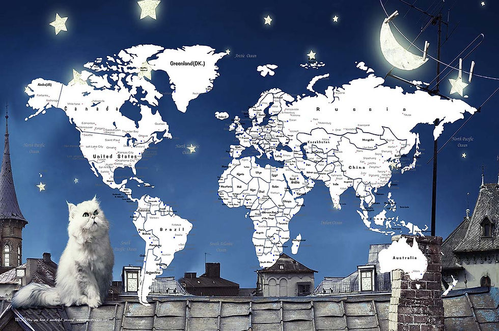 There is so much world to see ~ Cat L 世界這麼大 ~ 貓咪L