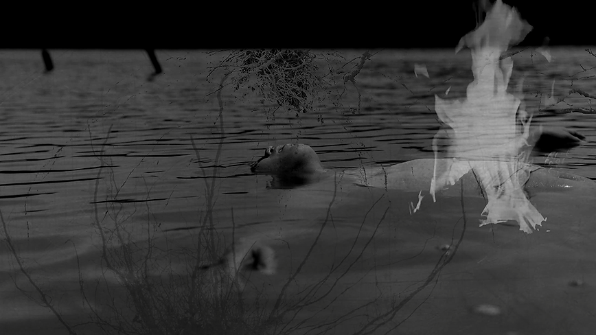 Still from the film Ang Kalayo sa Gintung-an (Flame in Our Midst) by Elvert Bañares