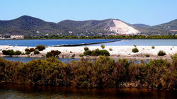 Salinen Ibiza