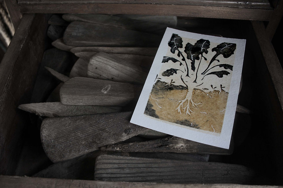 Thumbnail: Kohlrabi