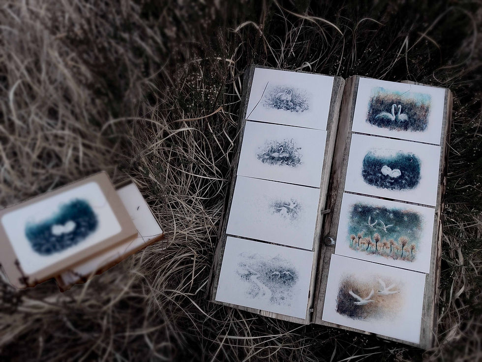 Thumbnail: SVANE, the story told in 26 cards