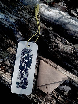 doopsuiker zonnepit.jpg