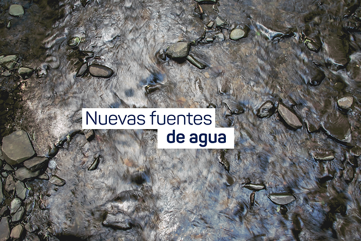 linea4.png