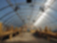 PHS greenhouse.jpg