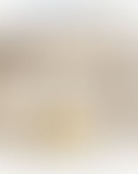 真正300億AKK菌 穩糖燃脂 專業瘦身配方 (30粒裝) | 400億益生菌