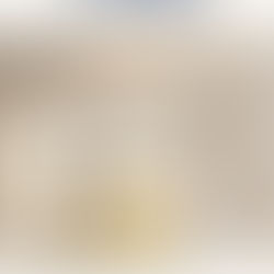 真正300億AKK菌 穩糖燃脂 專業瘦身配方 (30粒裝) | 400億益生菌