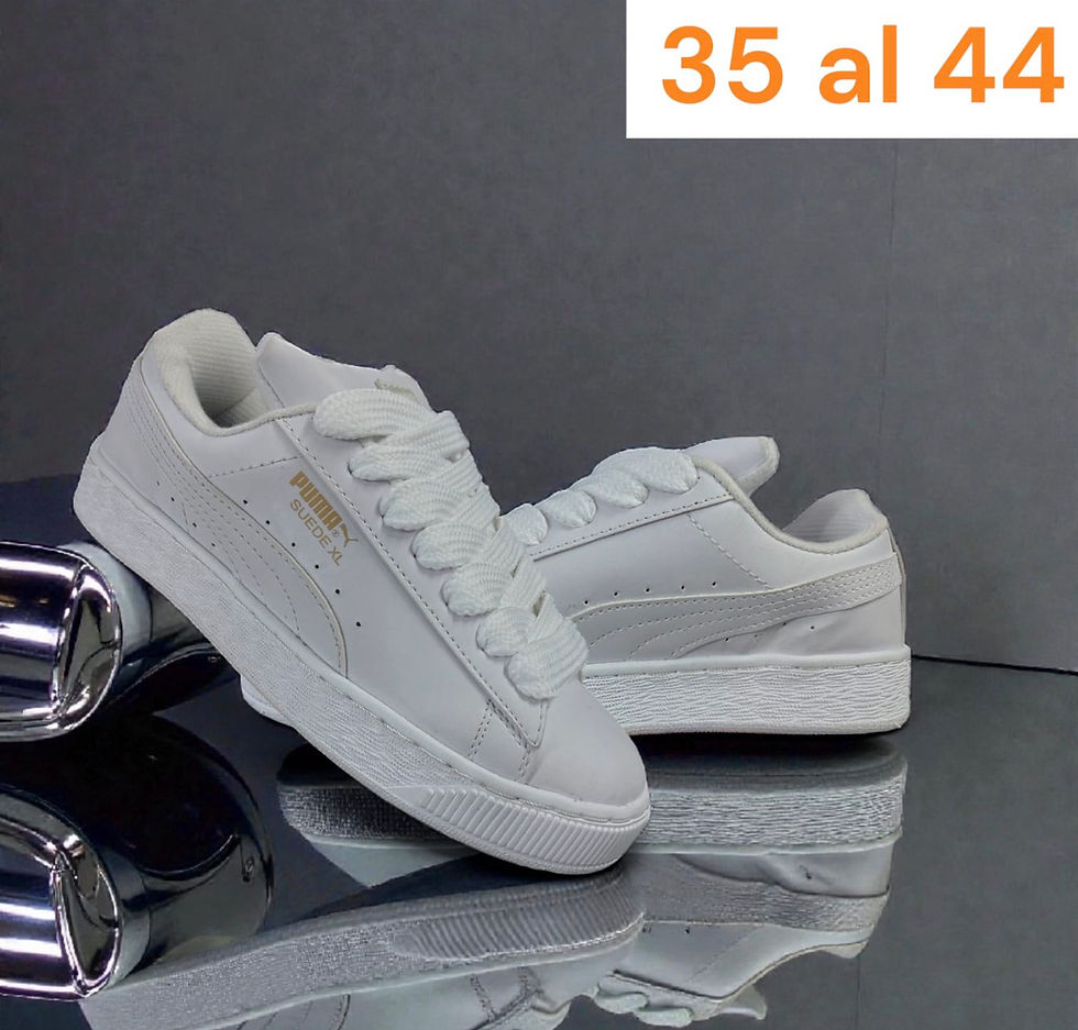 Miniatura: Puma adulto