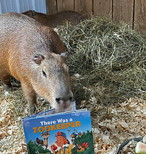 Wendts Wildlife Adventure author visit