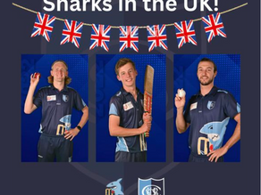 Sharks Abroad!