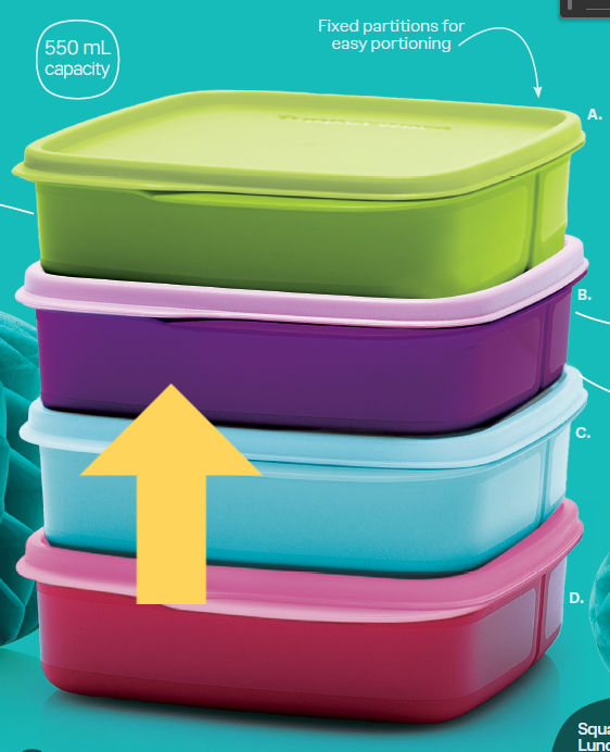 Square Divided Lunch Box - Simply Lavender / Purlicious - 550ml