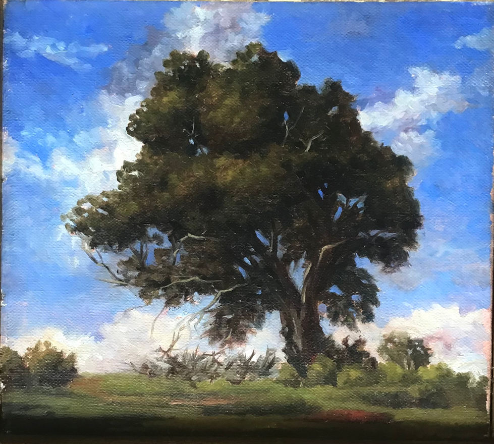 21F73109-93AA-4FF6-8808-8494E6713BA5