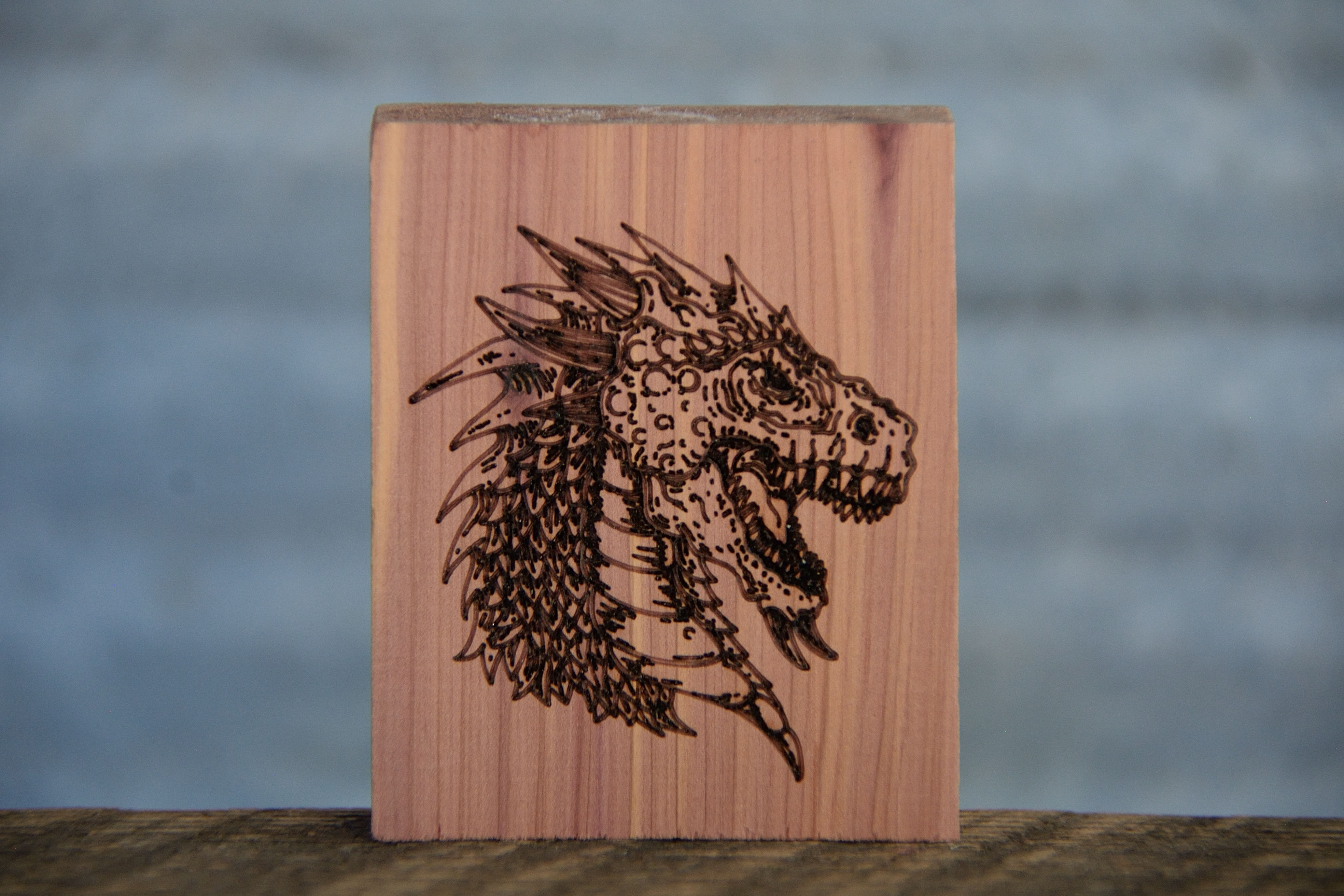 Animal Cedar Blocks