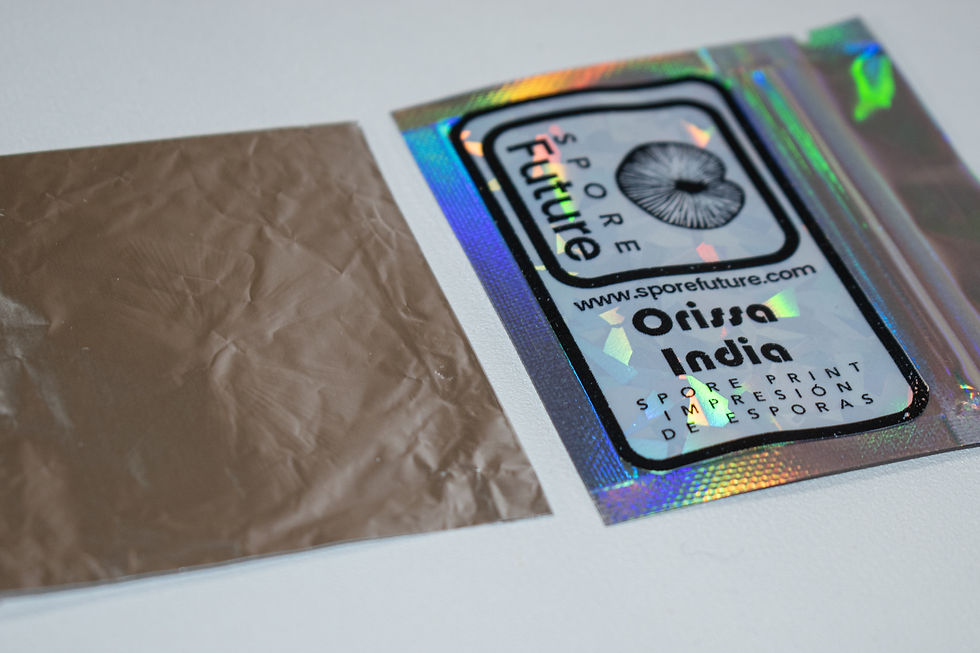 Miniatura: Impresión de esporas PC Orissa India